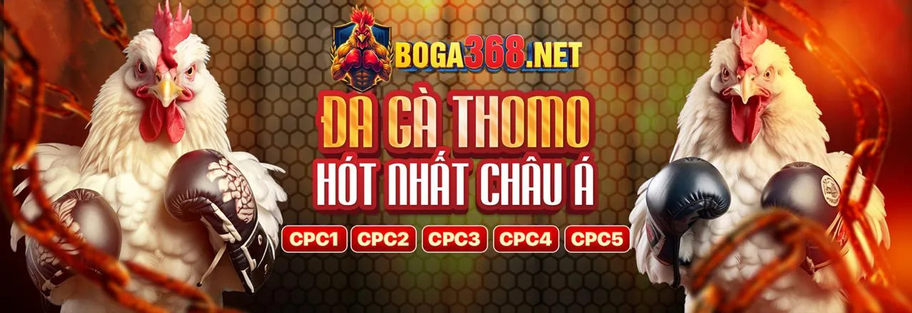 Sân đấu đá gà kịch tính tại f789 trang chủ chính thức
